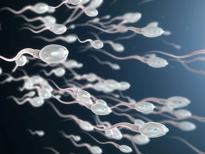 sperm test at home