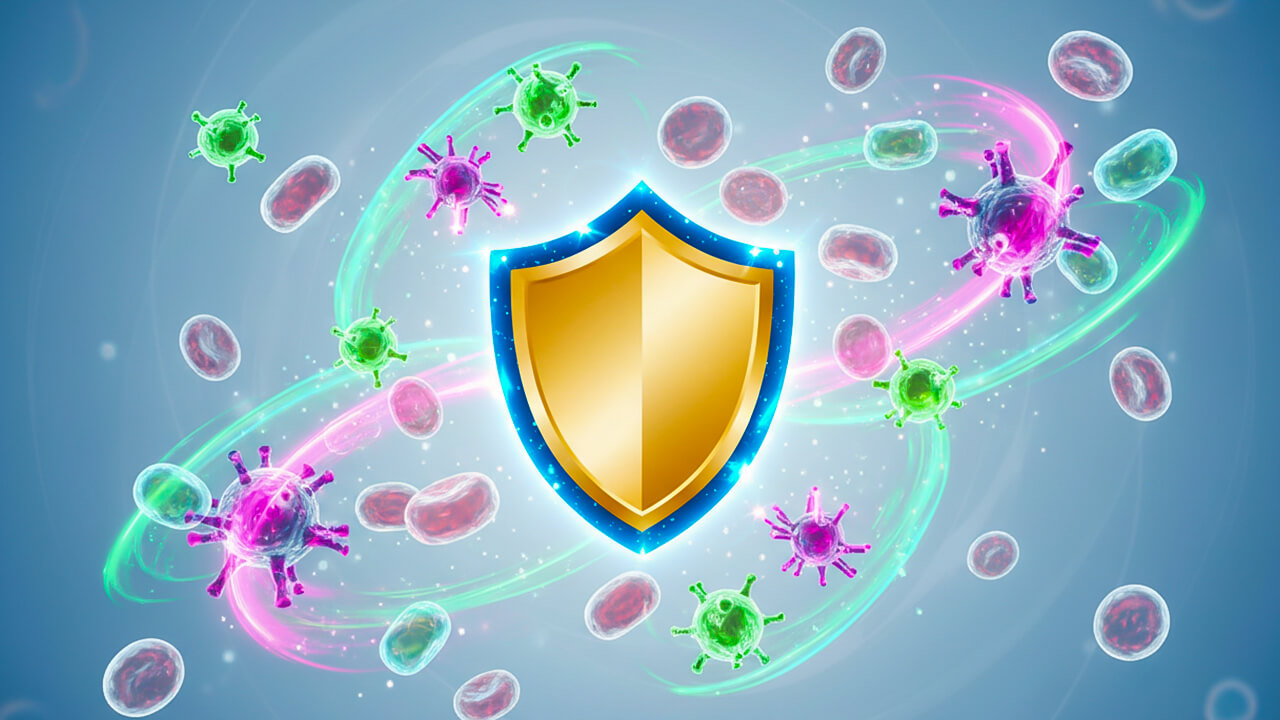 Illustration of a protective shield representing the human immune system defending the body against viruses and bacteria.